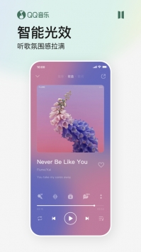 qq音乐免费安装最新版免费版本