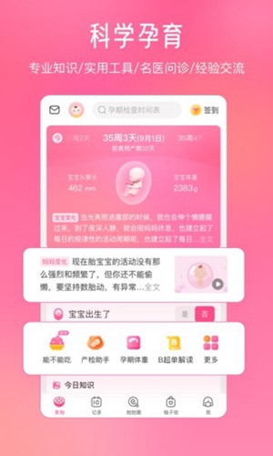 美柚官方app