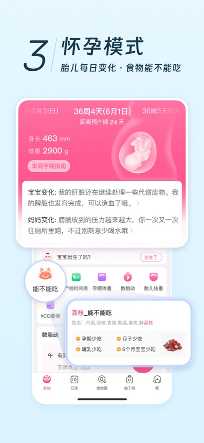 美柚app官方下载最新版