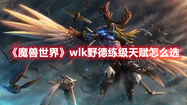 《魔兽世界》wlk野德练级天赋怎么选