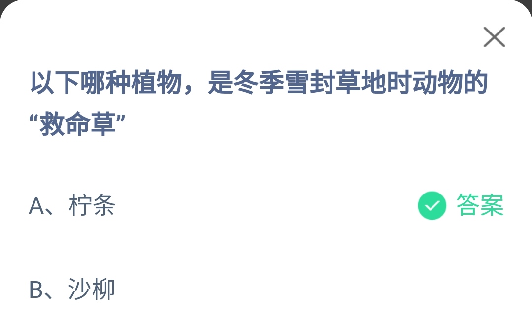 蚂蚁庄园3月12日：以下哪种植物，是冬季雪封草地时动物的救命草