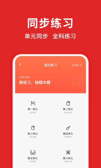 题拍拍APP下载安装截图5