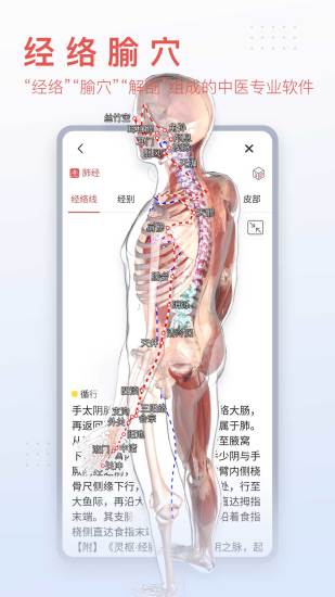 3DBody免费版 截图2