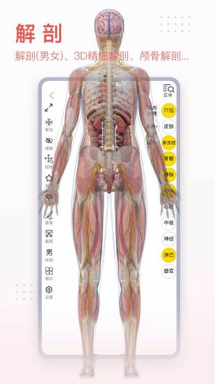 3DBody免费版 截图3