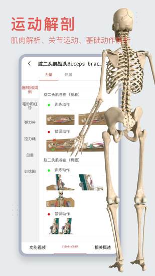 3DBody免费版 截图1