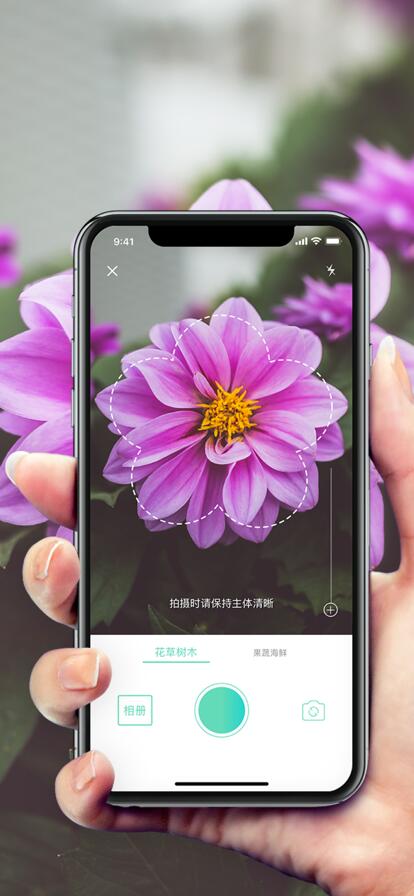 形色app官方下载最新版截图5