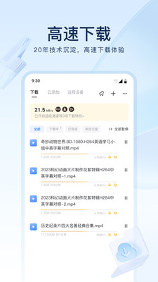 手机迅雷app下载安装免费最新版