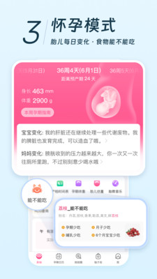 美柚app下载安装免费最新版免费版本