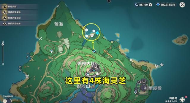 原神海灵芝分布图一览：2.8海灵芝采集点路线图分享[多图]图片1