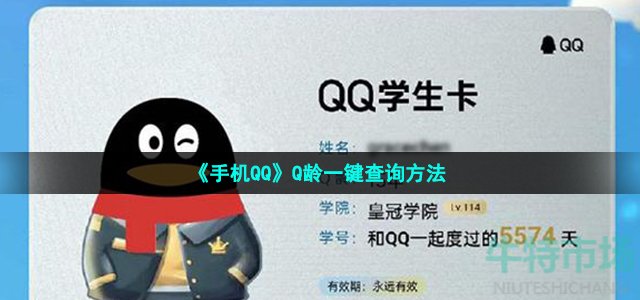 《手机QQ》Q龄一键查询方法