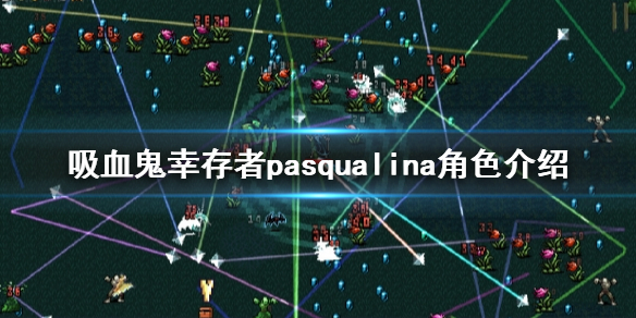 【吸血鬼幸存者攻略】pasqualina角色介绍（详细教程）